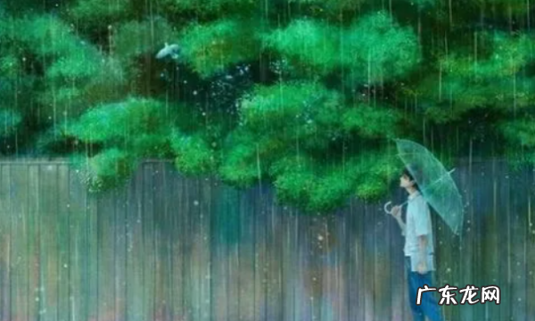 雨的种类有很多简单写一写当时的情景,下阵雨时的情景描写二年级作文