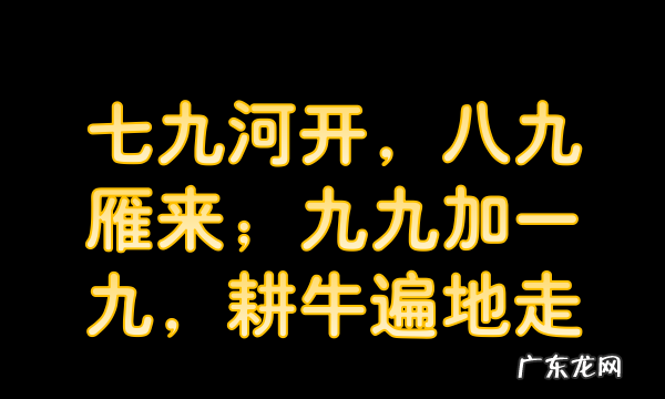 耕牛遍地走耕牛是什么意思,九九加一九耕牛遍地走什么意思