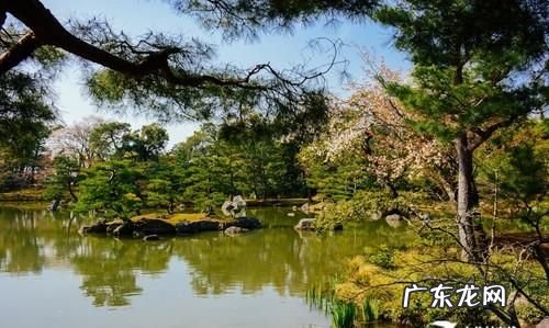 尼康d7100拍风景用什么镜头,尼康D700配什么镜头比较好