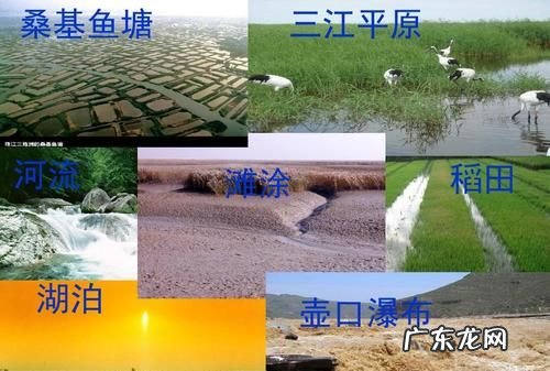 三江平原指的哪三江,中国三江平原指的哪三江