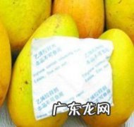 小台芒怎么保存不发黑,台芒怎么保存夏天