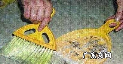 怎么除蟑螂最有效最快速,怎么除蟑螂最快最有效的方法