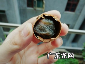 晒龙眼肉正确的方法,晒桂圆方法 怎么晒桂圆干