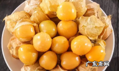 姑娘是什么水果,东北水果姑娘学名叫什么
