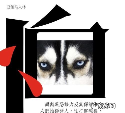 怕可以分为什么两部分,操作系统中进程可以分为哪两类