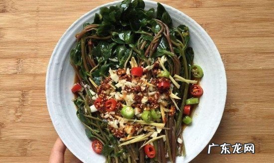 马齿苋冷冻了一年还能吃,去年的马齿苋晒干今年还能吃