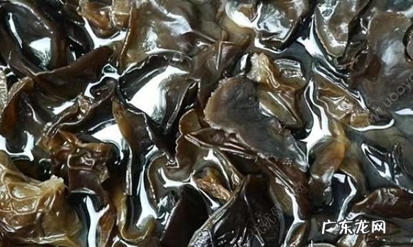 泡发好的木耳放冰箱冷藏能保存多久,泡发好的木耳放冰箱冷藏能保存多久 保存泡发木耳的时间