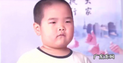 腾飞哪一集领养的,乡村爱情腾飞是第几部领养的
