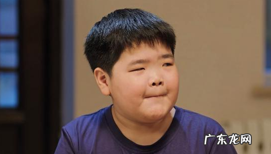 腾飞哪一集领养的,乡村爱情腾飞是第几部领养的