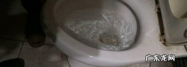 马桶堵了水已经满了怎么办,马桶堵了水满了下不去怎么办
