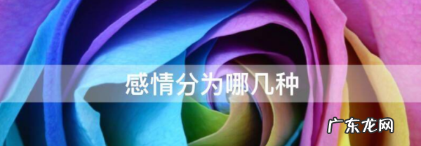 情感有哪些分类,情感都有哪些分类