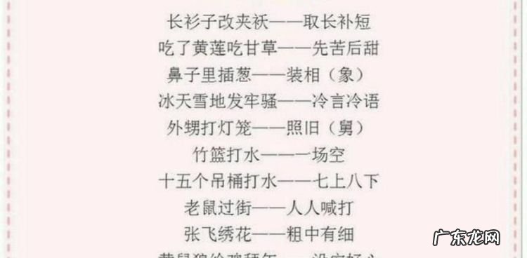 兔的谚语和歇后语,描写美食的谚语或俗语