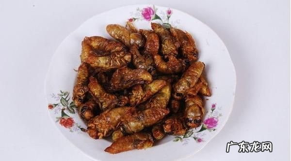 冻过的金蝉怎么做好吃,炸冻金蝉的正确做法