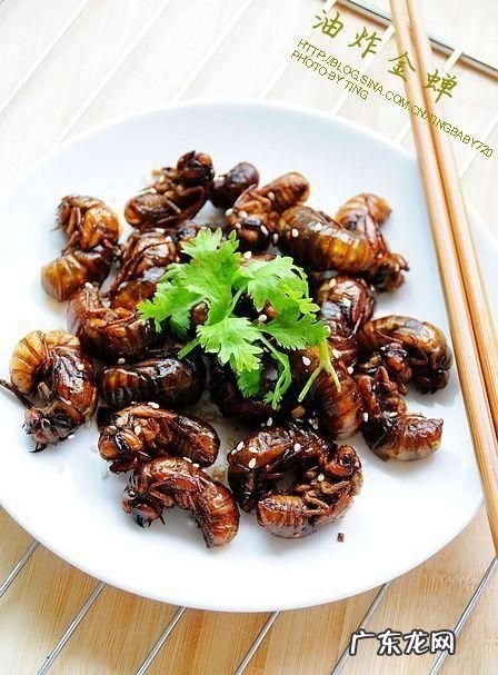 冻过的金蝉怎么做好吃,炸冻金蝉的正确做法