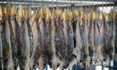 咸鱼心态什么意思,咸鱼的含义是什么