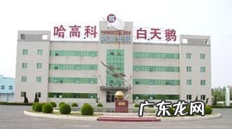 哈高科是什么企业,哈高科是国企