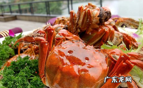吃完河蟹在吃橘子可以,螃蟹和橘子相克要隔多少时间才能吃