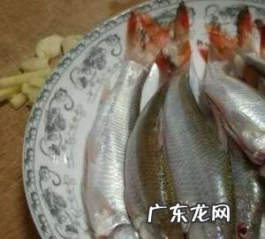 黄尾怎么烧才好吃,黄蝶鱼怎么做好吃又简单