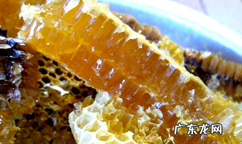 野生蜂蜜怎么处理才能吃,野蜜蜂怎么吃最有效