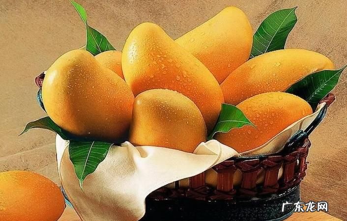 芒果可以放多久,买回来的芒果放几天可以吃