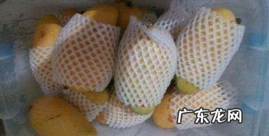 芒果可以放多久,买回来的芒果放几天可以吃