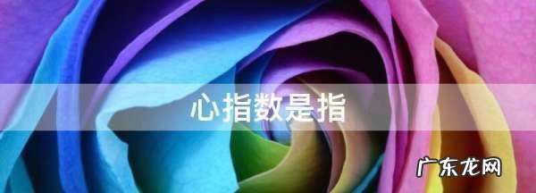 心指数是指什么意思,心指数是指