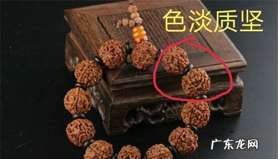 金刚菩提怎么分辨真假,怎么辨别金刚菩提手串真假