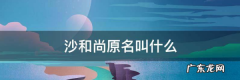 沙和尚的前身是什么,沙和尚原名叫什么名字