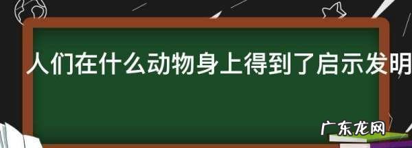 人们在什么动物身上得到了启示发明了什么,人们在什么动物身上得到了启示发明了什么