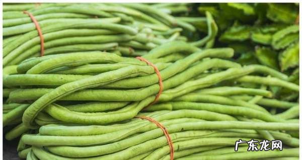豇豆有毒素,豇豆不熟会中毒多久有症状