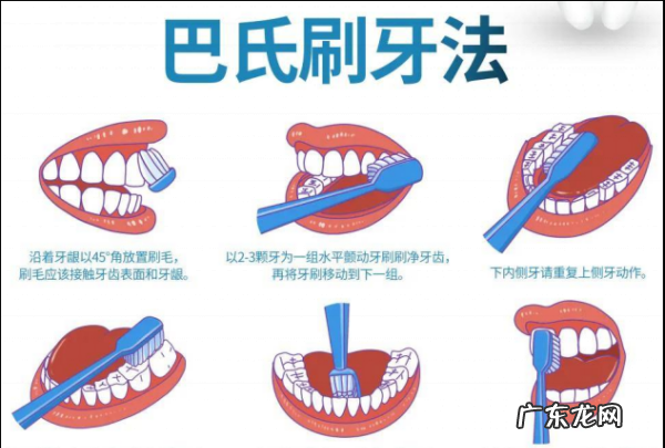 正确刷牙五步骤,正确的刷牙时间和方法