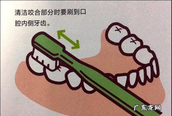 正确刷牙五步骤,正确的刷牙时间和方法