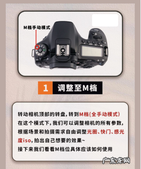 如何使用单反m档,索尼相机操作指南