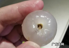 荔枝里面的虫子吃了会怎样,吃荔枝的时候不小心吃到虫子会怎么样