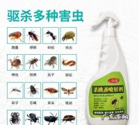 怎么判断床上有没有虱子,怎么判断床上有没有虫子