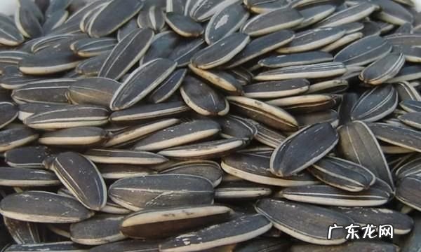 熟瓜子是该冷藏还是冷冻,炒瓜子怎么保存不变质