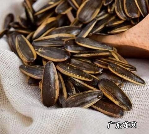 熟瓜子是该冷藏还是冷冻,炒瓜子怎么保存不变质