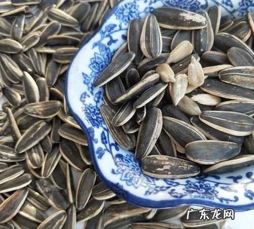 熟瓜子是该冷藏还是冷冻,炒瓜子怎么保存不变质