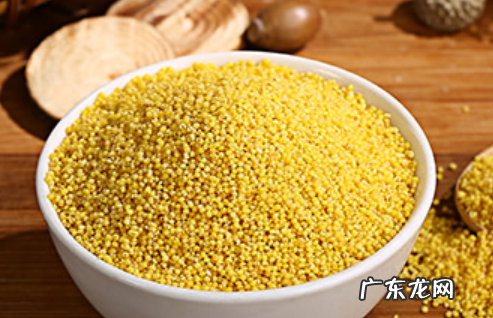 栗米和粟米有什么分别,粟米和小米的区别
