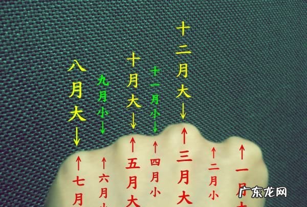 大月是那几个月,一年有几个大月和几个小月