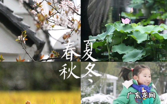 比较春天和夏天有哪些不同,春季考试和夏季考试的区别