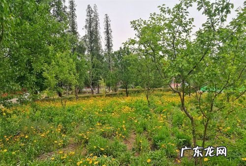 比较春天和夏天有哪些不同,春季考试和夏季考试的区别