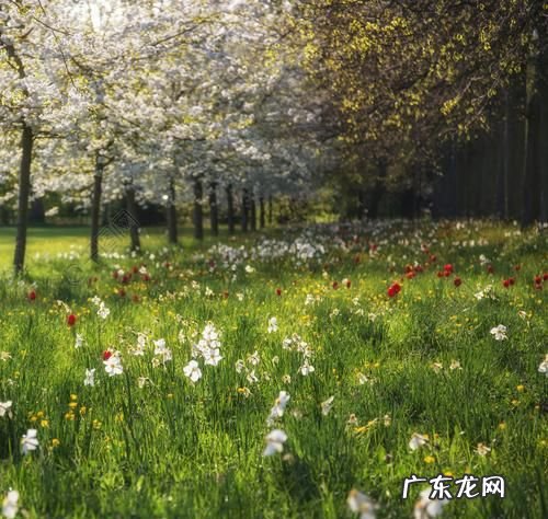 比较春天和夏天有哪些不同,春季考试和夏季考试的区别
