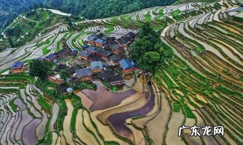 加榜梯田拍摄合适地点,加榜梯田最佳观赏时间