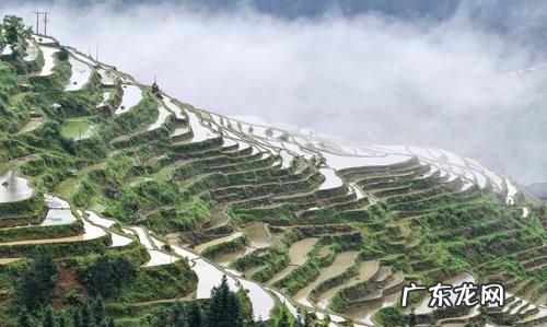 加榜梯田拍摄合适地点,加榜梯田最佳观赏时间