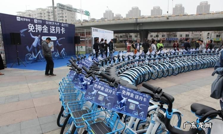 上海蓝色的共享单车叫什么,小蓝电动车叫什么名字