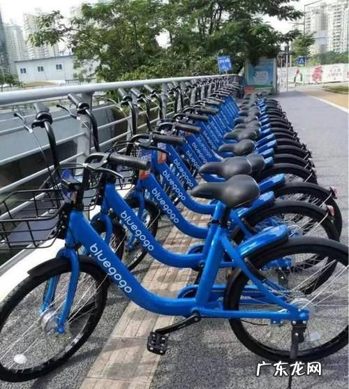 上海蓝色的共享单车叫什么,小蓝电动车叫什么名字