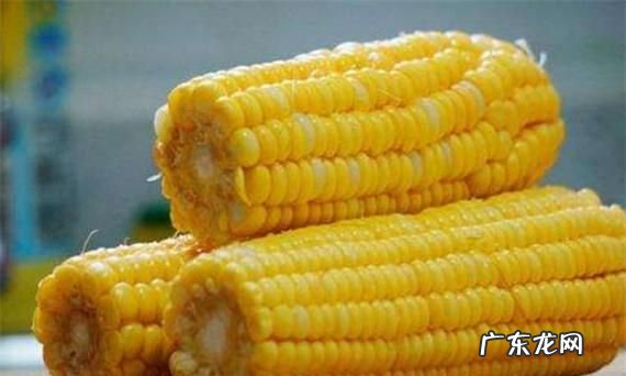 玉米棒属于厨余垃圾,吃剩的玉米棒子是什么垃圾