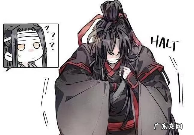 汪叽是什么意思,忘机为什么叫汪叽