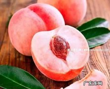 桃子的属性是温还是寒,桃子属性热还是寒的
